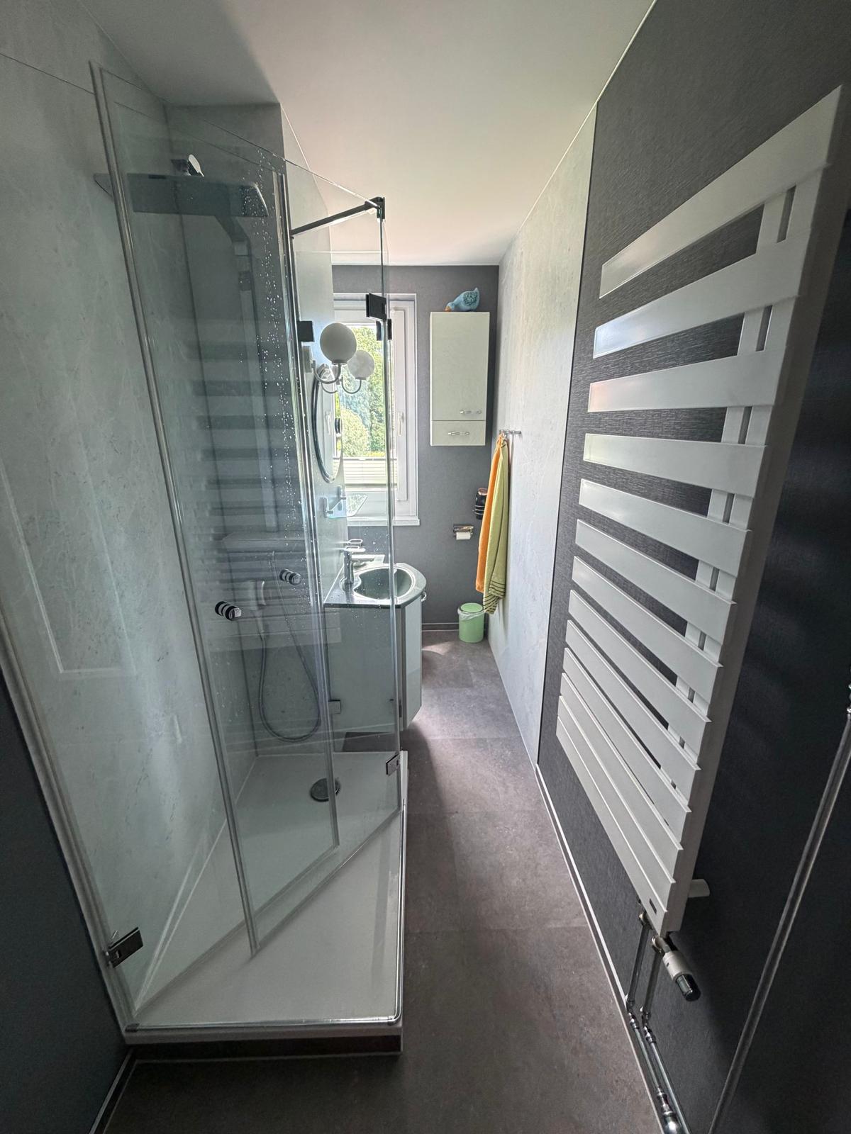 badewanne-zur-dusche-seebach